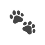 Cadeaux avec animaux